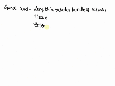 the-spinal-cord-proper-extends-from-the-medulla-of-the-brain-to-lumbar-2-true-or-false-70361