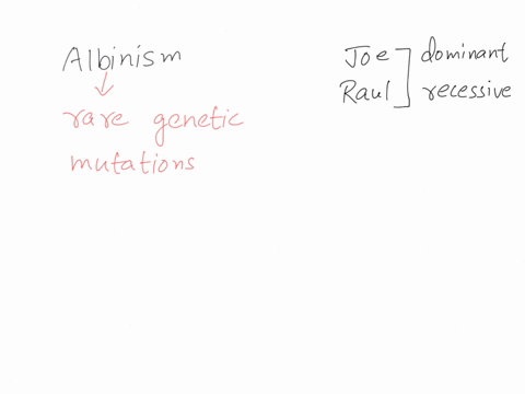 dominant-or-recessive-joe-has-type-a-blood-raul-is-farsighted-megan-has-blond-hair-jamar-is-double-jointed-eva-has-type-o-blood-coral-has-straight-hair-indria-has-facial-dimples-grace-is-nea-06517
