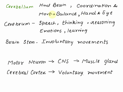 hurry-i-need-your-help-100-points-1-what-are-the-responsibilities-of-the-region-of-the-brain-highlighted-below-picture-located-below-the-highlighted-portion-is-at-the-rear-base-of-the-brain-91215