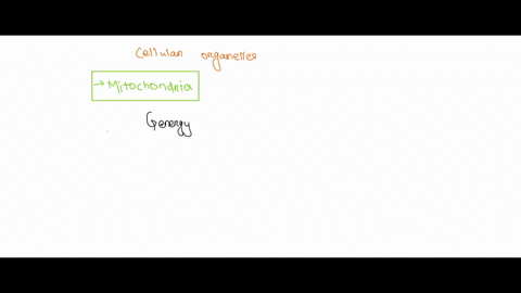 which-of-the-following-cellular-organelles-releases-the-energy-constrained-in-food-golgi-apparatus-mitochondria-centrioles-ribosomes-01773