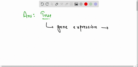 gene-regulation-is-influenced-by-both-genetic-and-environmental-factors-true-or-false-26757