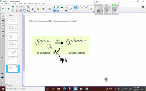 what-is-the-role-in-vision-of-the-cis-trans-isomerization-of-retinal-2-40022