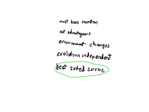 which-statements-best-describe-natural-selection-check-all-that-apply-populations-must-have-genetic-variation-genetic-mutations-do-not-produce-advantageous-traits-natural-selection-occurs-wh-37704