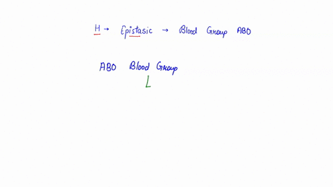 a-a-neuron-has-membrane-potential-of-70-mv-for-action-potential-generation-t0-begin-once-graded-potential-level-must-be-met-in-neurons-this-is-50-mv-reaches-this-level-an-action-potential-pr-04757