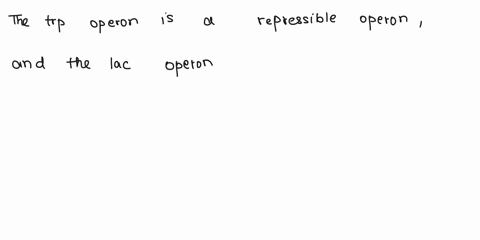 the-trp-operon-is-an-peron-the-lac-operon-is-an-operon-repressible-repressible-repressible-inducable-inducable-repressible-inducable-inducable-01906