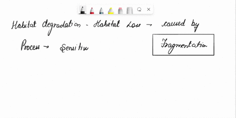how-does-the-edge-effect-and-habitat-fragmentation-affect-species-16061