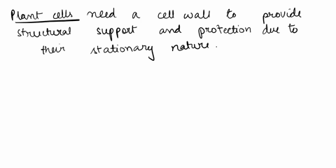 why-do-you-think-only-plant-cells-need-a-cell-wall-while-animal-cells-do-not-91136