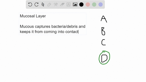 a-mucosal-layer-can-be-found-in-all-of-the-following-organs-except-select-one-the-stomach-b-the-small-intestine-c-the-uterus-d-the-heart-39153