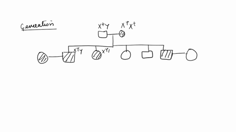 for-the-following-pedigree-which-of-the-following-mechanisms-can-explain-the-pattern-of-inheritance-of-the-trait-shown-in-the-affected-individuals-the-dark-symbols-assume-the-condition-is-ca-74271