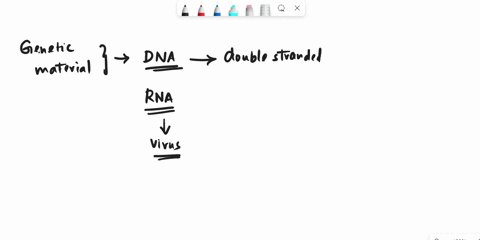 which-of-the-below-is-an-inaccurate-statement-about-the-dna-molecule-group-of-answer-choices-dna-is-a-double-stranded-molecule-dna-is-a-single-stranded-molecule-dna-is-made-up-of-nucleotides-44002