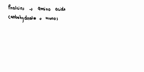 what-subunits-monomer-units-make-up-proteins-carbohydrates-list-3-functions-of-carbohydrates-in-living-organisms-list-3-functions-of-proteins-in-living-organisms-for-thc-expcriments-shown-as-82214