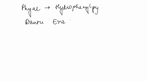 phenylalanine-serves-exclusively-as-the-precursor-in-tyrosine-synthesis-in-populations-with-a-high-protein-diet-however-4-hydroxyphenylpyruvate-can-wnefficiently-replace-phenylalanine-as-the-47333