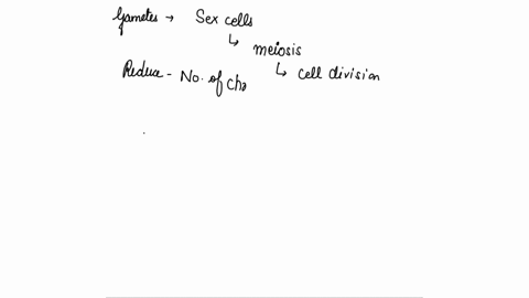 gametes-have-a-homologous-chromosomes-b-twice-the-number-of-chromosomes-found-in-body-cells-c-two-sets-of-chromosomes-or-d-one-allele-for-each-gene-98174