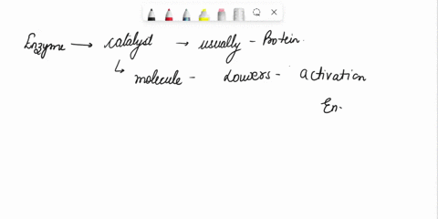 what-is-an-enzyme-and-what-does-it-do-describe-a-typical-enzymatic-reaction-include-feedback-inhibition-33572