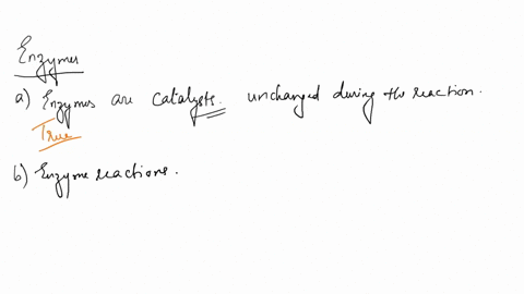 which-of-the-following-regarding-enzymes-are-true-select-true-or-false-next-to-each-statement-below-aenzymes-are-unaltered-by-the-chemical-reactions-they-catalyze-and-can-be-used-repeatedly-83989