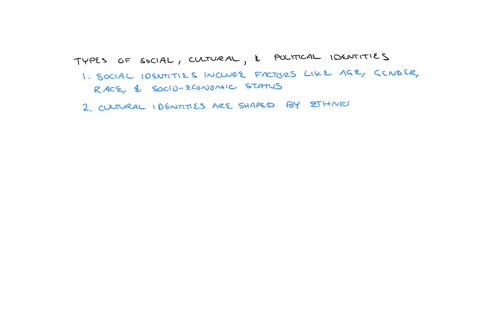 describe-the-different-types-of-social-cultural-and-political-identities-how-do-these-identities-influence-and-structure-attitudes-toward-politics-see-for-example-differences-in-opinion-amon-95926