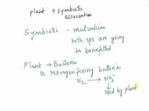 how-do-plants-benefit-from-symbiotic-associations-with-bacteria-fungi-89447