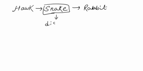 if-a-disease-strikes-the-snake-population-in-the-food-chain-shown-what-will-be-the-initial-effect-on-the-populations-of-hawks-and-rabbitsa-the-populations-of-hawks-and-rabbits-will-decreaseb-51444