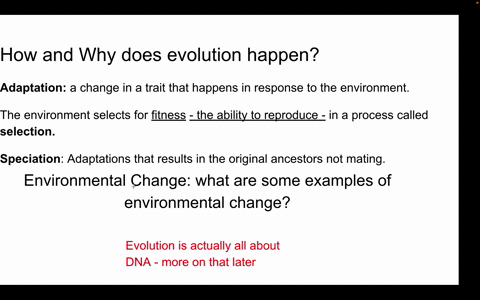 what-do-values-of-darwinian-fitness-represent-a-the-relative-amount-of-offspring-expected-by-an-individual-within-a-population-b-the-number-of-offspring-produced-by-all-members-of-a-specific-82408