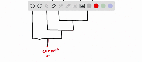 view-the-cladogram-at-right-the-organisms-shown-are-shark-frog-lizard-duck-housecat-and-human_-according-t0-this-cladogram-which-of-the-following-the-closest-relative-of-the-shark-select-one-07837