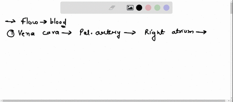 fill-in-the-following-blanks-with-the-correct-anatomy-related-to-the-flow-of-blood-through-the-heart-you-can-simply-number-a-list-of-1-through-15-and-enter-the-answers-spelling-does-countso-50964