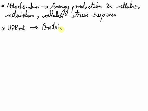 describe-mitochondrial-pathways-of-stress-2