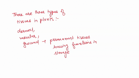 list-three-similarities-between-parenchyma-and-collenchyma-ie-to-help-you-with-this-think-about-the-following-what-type-of-plant-tissue-thcy-are-ii-if-they-are-alive-or-dead-and-iii-what-typ-20441