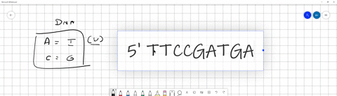 a-short-fragment-of-dna-has-the-following-sequence-on-one-of-the-strands-5-ttccgatgacga-3-assuming-normal-base-pairing-rules-are-followed-what-is-the-sequence-of-nucleotides-on-the-opposite-47294