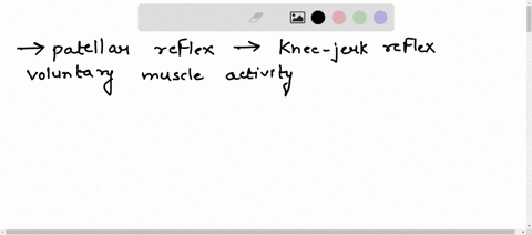 1-is-the-patellar-reflex-inhibited-or-enhanced-by-voluntary-muscle-activity-in-the-quadriceps-speculate-on-the-mechnaism-of-inhibition-or-enhancement-2-is-the-patellar-reflex-retarted-or-fac-85882