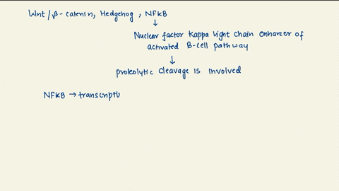 ____________-is-an-important-intracellular-event-exploited-in-all-of-the-following-pathways-wnt-catenin-hedgehog-nfb-select-anyall-answers-that-apply-a-phosphorylation-b-ubiquitination-c-pro-24964
