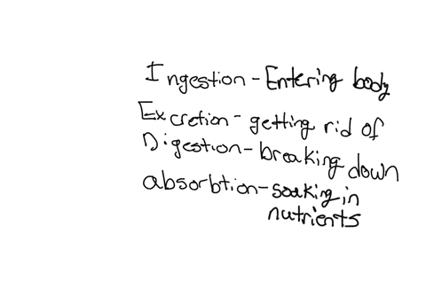 the-process-of-obtaining-food-is-known-as-feeding-mechanisms-and-requires-specialized-ingestion-excretion-digestion-absorption-88756