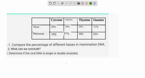 cytosine-adenine-thymine-guanine-virus-32-29-229-17-mammal-19-31-30-20-11-compare-the-percentage-of-different-bases-in-mammalian-dna-12-what-can-we-conclude-2-determine-if-the-viral-dna-is-s-52454
