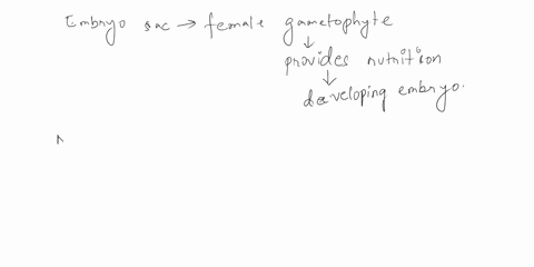 explain-nutrition-of-embryo-sac-67892