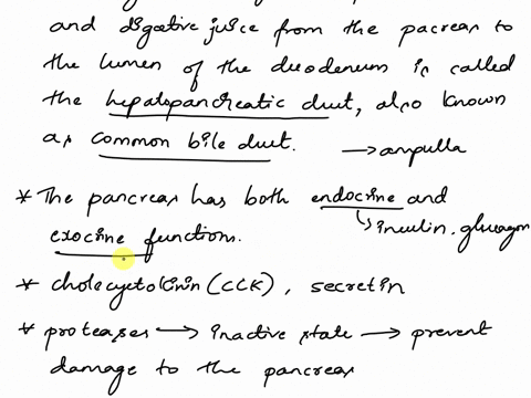 a-case-of-acute-pancreatitis-by-david-fdean-department-of-biology-spring-hill-college-case-presentation-george-hendrix-is-a-38-year-old-man-who-has-abused-alcohol-his-entire-adult-life-recen-62221