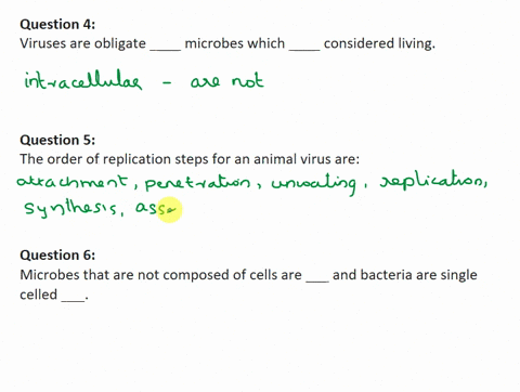 question-1-1-point-which-type-of-virus-has-three-components-1-genetic-information-2-a-protein-capsid-and-3-a-lipid-layer-surrounding-the-protein-capsid-question-1-options-a-enveloped-viruses-38814
