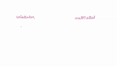 while-multicellularity-gives-organisms-many-advantages-over-single-celled-organisms-it-also-poses-numerous-challenges-in-a-short-essay-describe-two-challenges-of-multicellularity-and-explain-23443