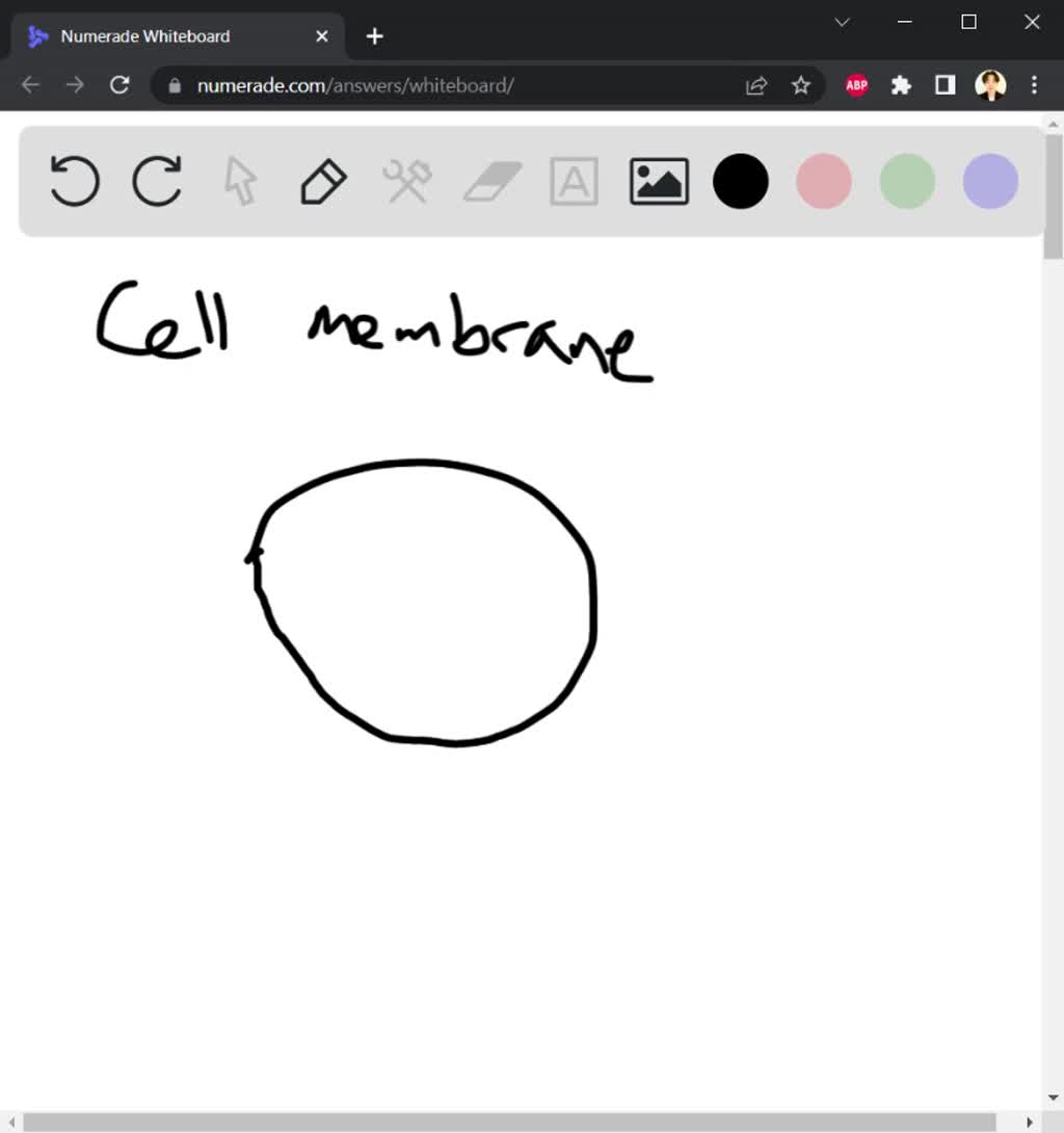 SOLVED: Identify one animal cell structure involved in bringing nutrients  and materials into the cell and explain how that structure performs the  given function. B. Identify one animal cell structure involved in