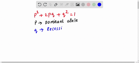 1-in-the-hardy-weinberg-equation-p2-2pq-q2-1-if-the-dominant-allele-frequency-is-08-what-percent-of-the-population-will-be-homozygous-dominant-19746