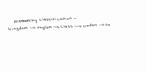 what-is-the-grouping-of-the-classification-hierarchy-that-is-the-same-size-as-phylum-34345