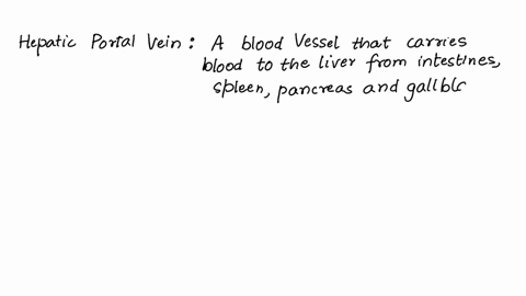 where-is-the-hepatic-portal-vein-located-87811