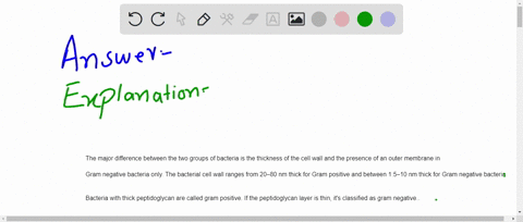 explain-gram-positive-vs-gram-negative-bacteria-please-provide-references-to-support-your-answer-07243