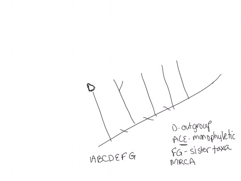 question-5-5-points-arrange-l-of-the-taxa-a-b-cdef-g-on-the-cladogram-below-so-that-dis-the-outgroup-basal-lineage-to-a-b-c-e-f-and-g-i-a-and-e-form-a-monophyletic-group-with-and-e-being-sis-09198