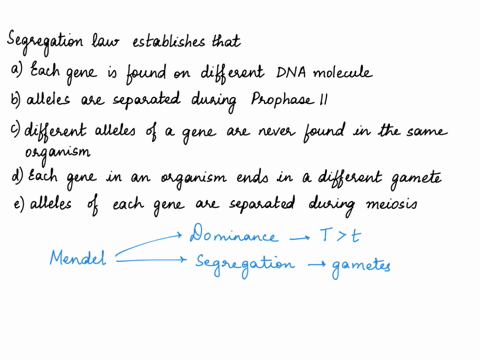the-segregation-law-establishes-that-a-each-gene-is-found-on-a-different-dna-molecule-b-alleles-are-separated-during-prophase-ii-c-the-different-alleles-of-a-gene-are-never-found-in-the-same-32441