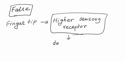 question-5-the-thigh-has-increased-sensory-receptor-density-compared-to-the-fingertips-true-b-false-question-6-07284