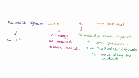 which-statements-are-false-about-facilitated-diffusion-select-all-that-apply-a-molecules-or-ions-are-transported-with-the-help-of-a-protein-b-atp-energy-is-required-to-move-the-molecules-or-34762