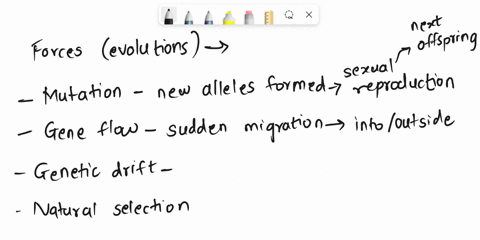 which-evolutionary-forces-a-cause-an-increase-in-genetic-variation-both-within-and-between-populations-b-cause-a-decrease-in-genetic-variation-both-within-and-between-populations-c-cause-an-76244