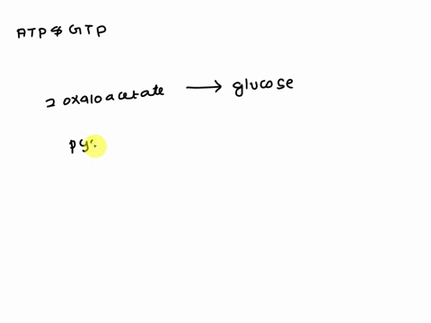 how-many-nucleotide-triphosphate-molecules-atp-and-gtp-are-required-to-synthesize-glucose-from-two-molecules-of-oxaloacetate-multiple-answers-multiple-answers-are-accepted-for-this-question-24815