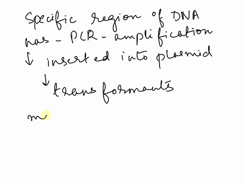 imagine-that-you-have-used-pcr-to-amplify-a-specific-region-of-dna-about-4000-bases-long-you-then-ligate-the-pcr-products-into-a-plasmid-vector-and-transform-it-into-bacteria-one-of-the-tran-06383