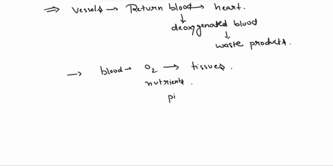 choices-can-used-only-once-cardiovascular-system-blood-vessels-to-radialulnar-aorta-ra-axillary-diffusion-metarteriole-venule-arteries-veins-deoxygenatedopoor-oxygenatedorich-tunica-interna-04003