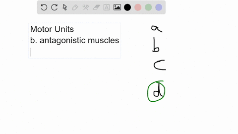 a-motor-unit-is________-a-a-muscle-and-the-bone-it-moves-b-two-muscles-that-work-in-opposition-c-the-61725